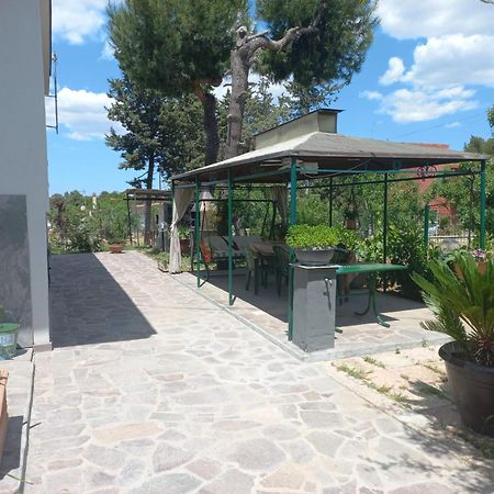B&B 1898 - Villa Colonna Альтамура Экстерьер фото